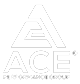 Ace Performance Group